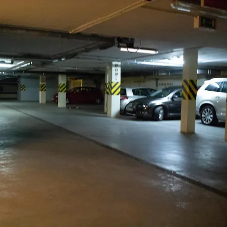 Dariusz Premium Z Garazem *