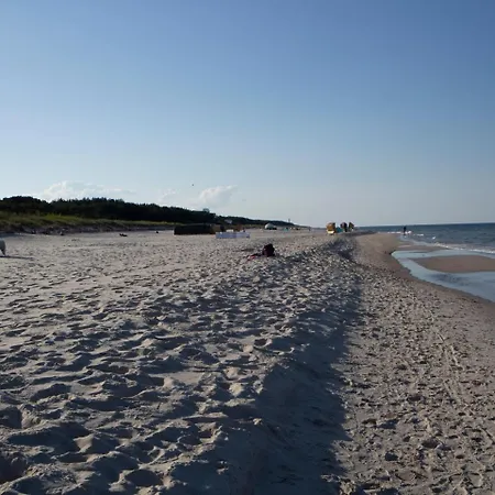 Dariusz Premium Z Garazem *