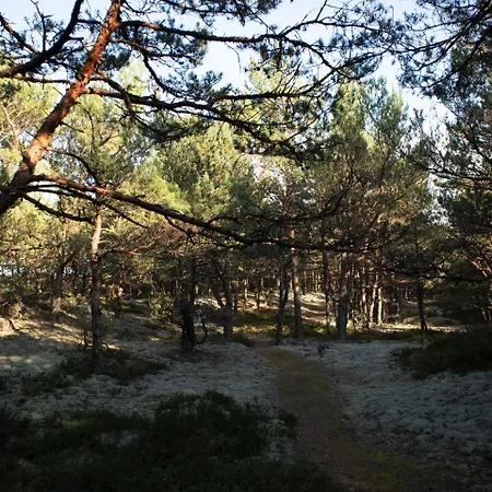 Dariusz Premium Z Garazem *