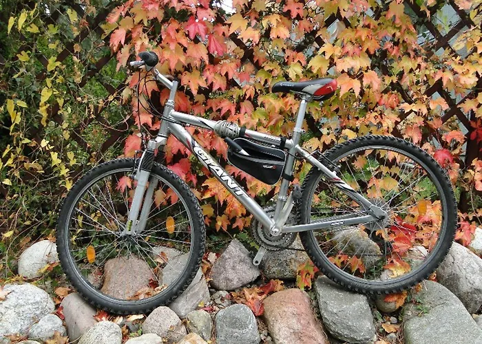 Dariusz Premium Z Garazem *