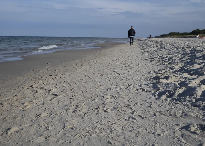 Dariusz Premium Z Garazem Jurata