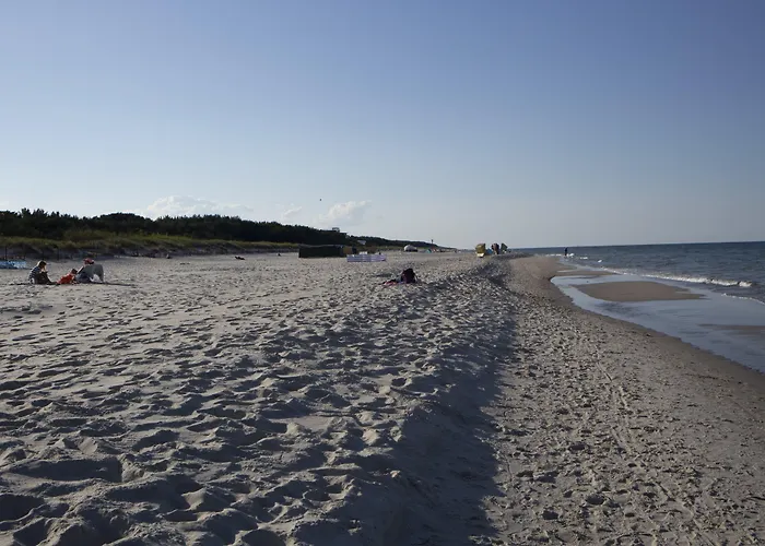 Dariusz Premium Z Garazem *