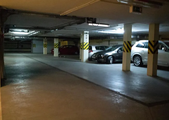 Dariusz Premium Z Garazem *