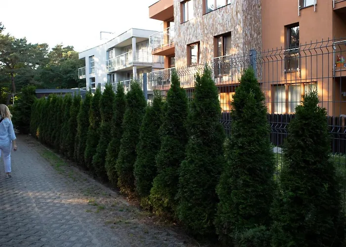 Dariusz Premium Z Garazem