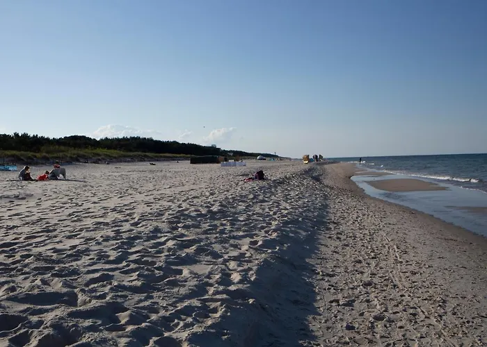 Dariusz Premium Z Garazem *