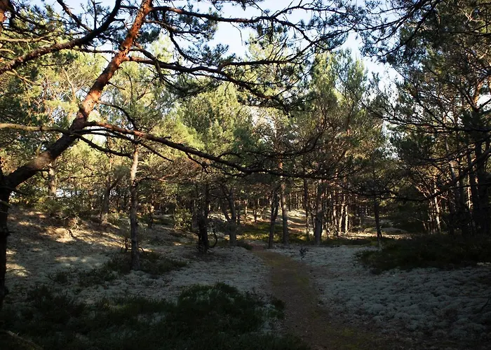 Dariusz Premium Z Garazem *